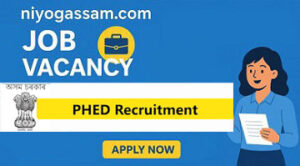 PHED AE Recruitment 2025 – 50 Assistant Engineer Jobs, Online Apply