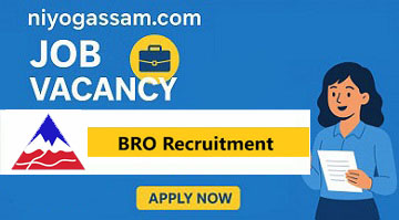 BRO Recruitment 2025 – 542 MSW & Vehicle Mechanic Vacancies